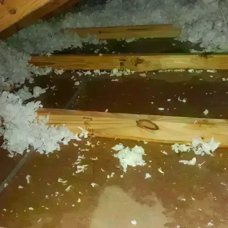 Attic Water Damage in Meridian Hills, IN